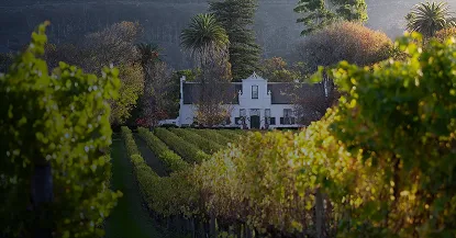Constantia Valley Cape Town